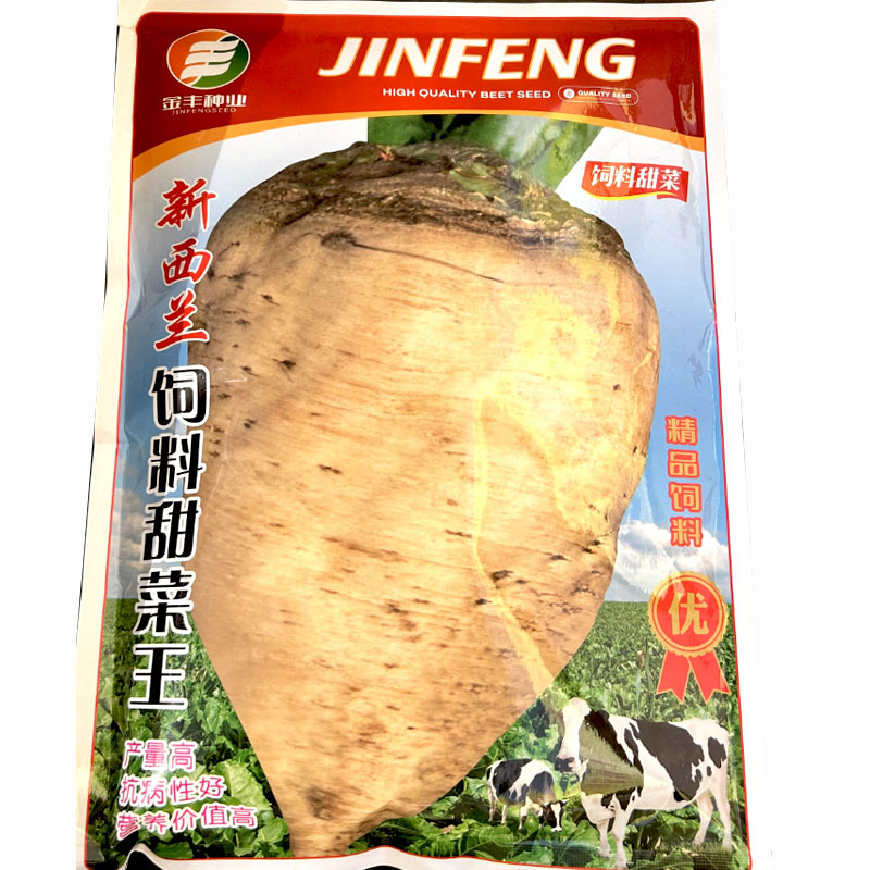 新西兰饲料甜菜王种子白根糖度高产量高基地种植