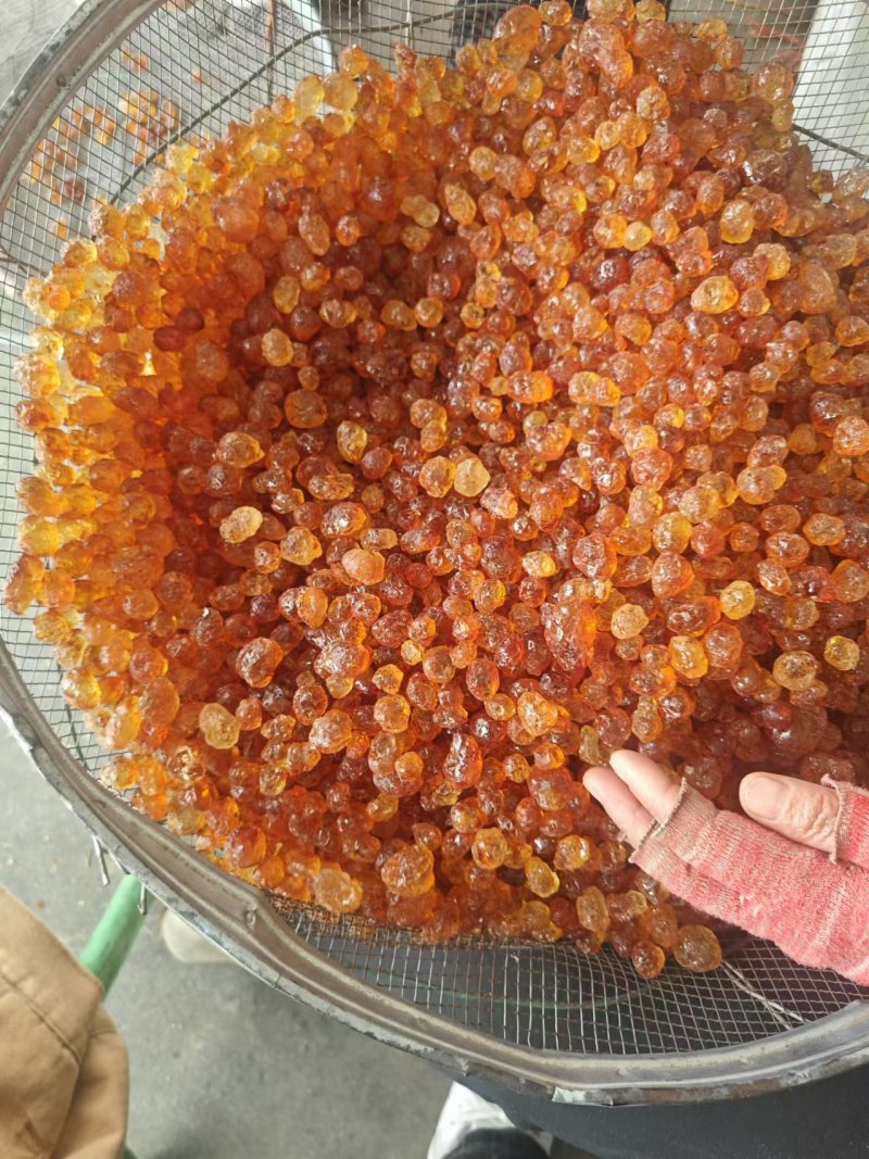 桃胶红水洗桃胶产地直发量大从优对接全国量大优惠