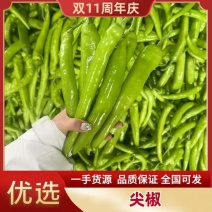 尖椒大量上市，品质保障，全国发货欢迎老板电话联系