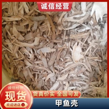 甲鱼壳安徽甲鱼壳货源充足，量大从优欢迎老板电话联系