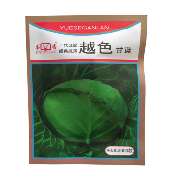 越色甘蓝种子松球黄芯水果型甘蓝高产耐裂韩绿甘蓝种子耐寒热