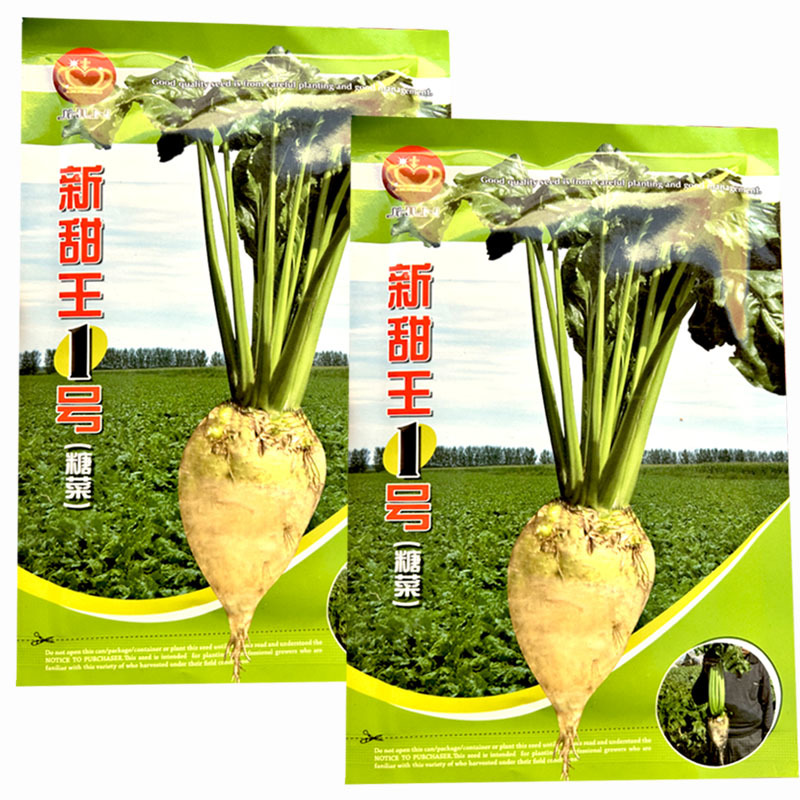 新甜菜王种子含糖量高糖菜种籽皮白色根圆锥形可饲用孑