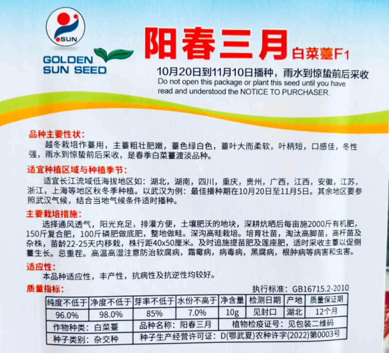 阳春三月白菜苔种子青菜苔种子越冬耐寒蔬菜种了籽四季蔬菜种