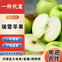 陕西瑞雪苹果一件代发产地直发一手货源对接各大电商平台