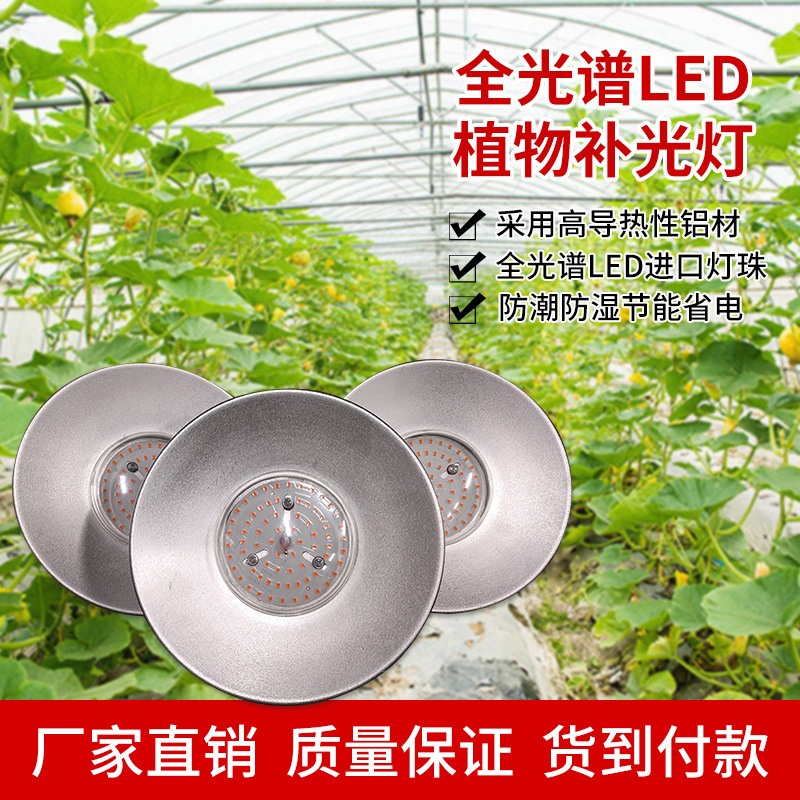 照光灯补光灯多肉专用灯