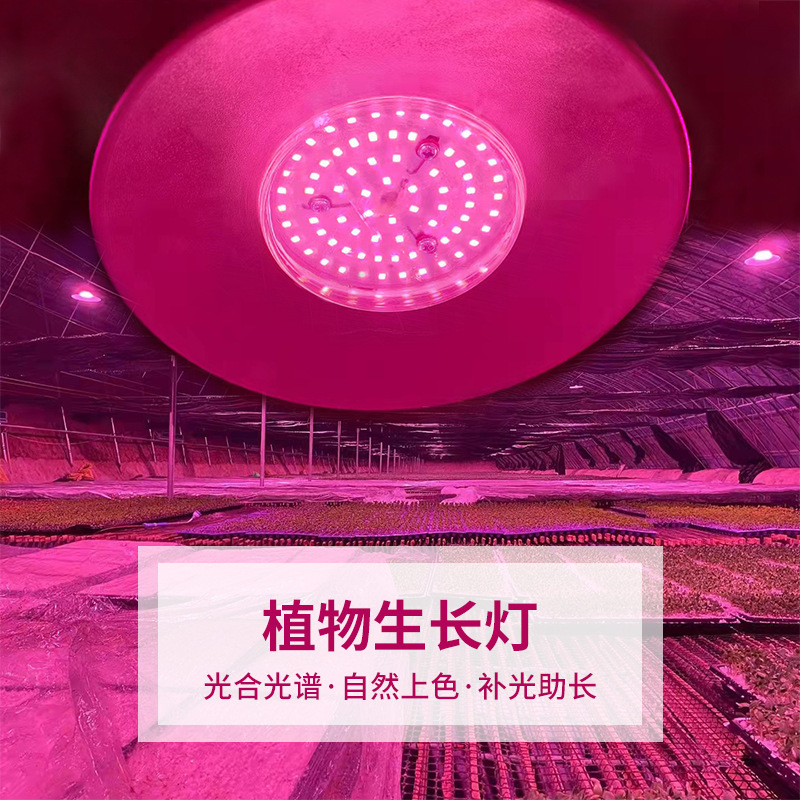 照光灯补光灯多肉专用灯