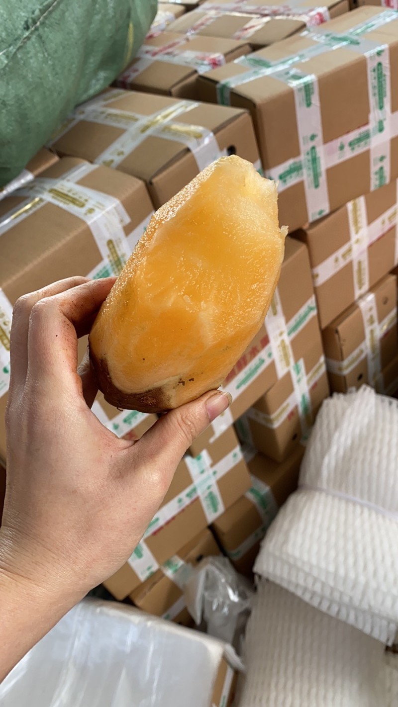 云南雪莲果一件代发产地直发一手货源对接各大电商平台