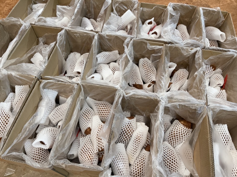 云南雪莲果一件代发产地直发一手货源对接各大电商平台