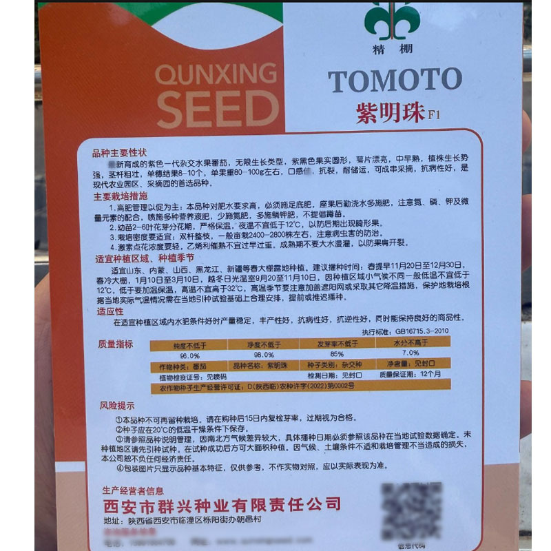 紫明珠水果番茄种子紫黑番茄种子无限生长中早熟