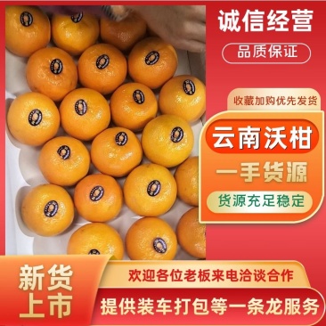云南高原沃柑，精品沃柑新鲜供应，电商货大量上市产地直发