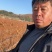 白桦苗产地直发量大从优诚信经营一手货源欢迎电联