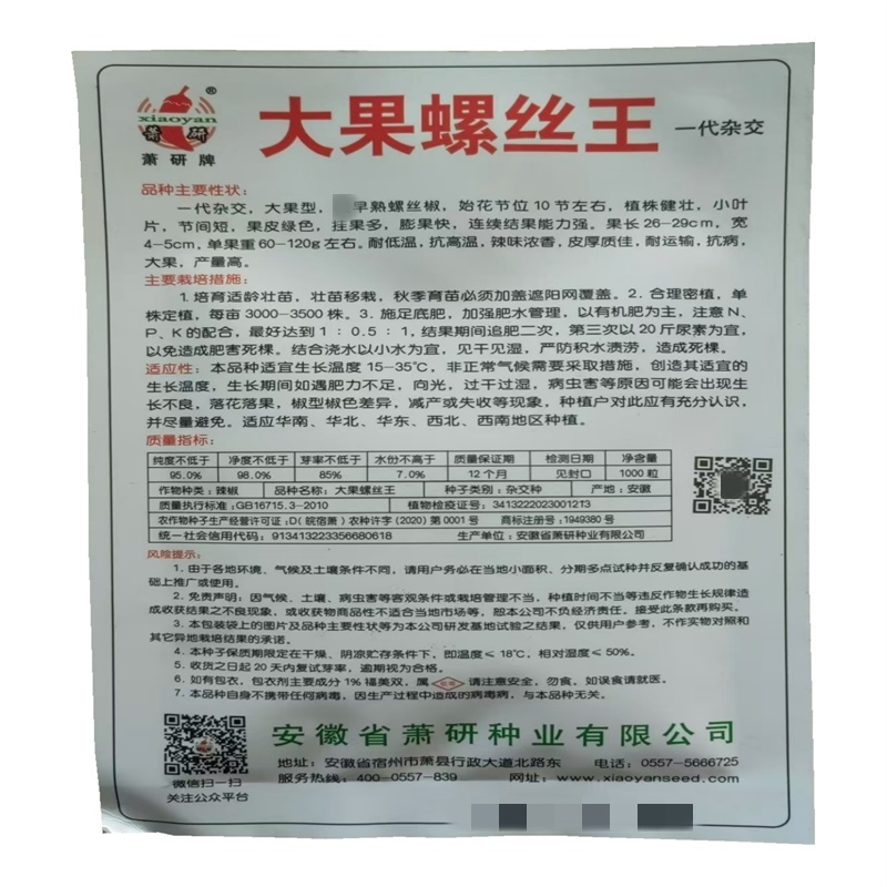 螺丝椒种子早熟大果螺丝种子萧研辣味浓香耐低温,抗高温
