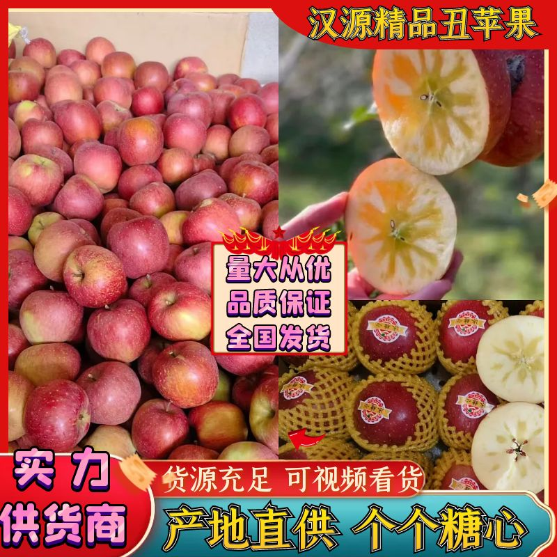 四川汉源县红富士冰糖心丑苹果，对接全国各地老板欢迎来电