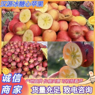 四川汉源冰糖心苹果产地供应链对接全国各地老板接大车小车