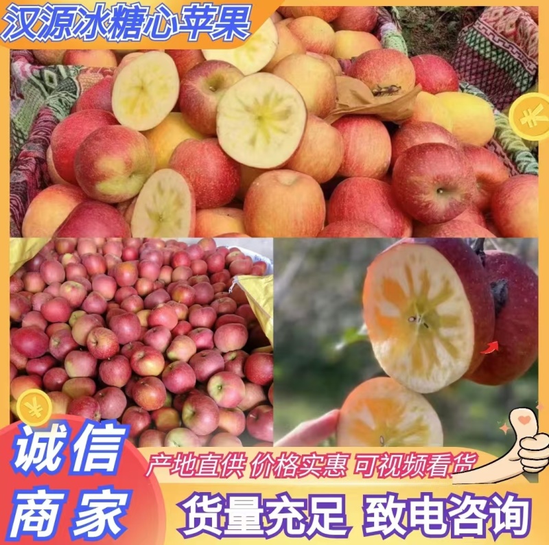 四川汉源冰糖心苹果产地供应链对接全国各地老板接大车小车