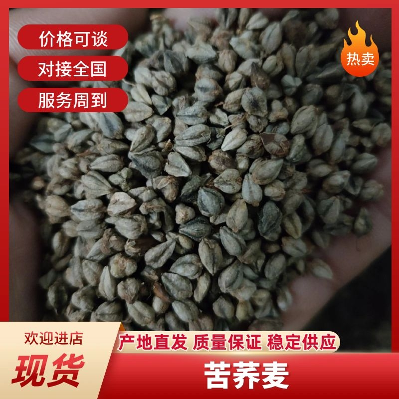 高海拔大凉山苦荞麦，袋装苦荞麦粗粮酿酒磨面粉苦荞饭包邮