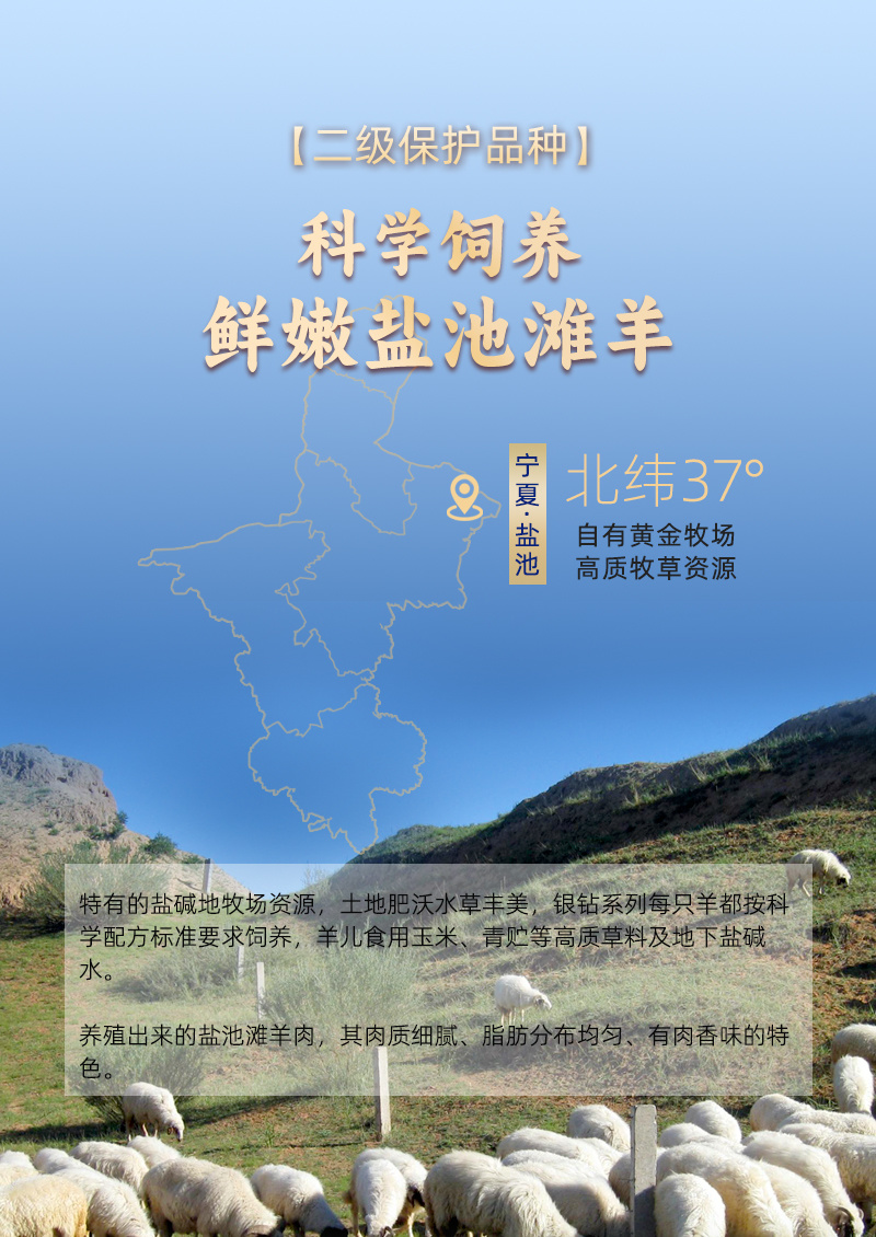 宁夏盐池滩羊A排羊小排半排去脊无脊冷冻半成品新鲜家用生鲜