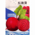 全红甜菜种子紫菜头榨汁圆形大个根茎杂交基地品种