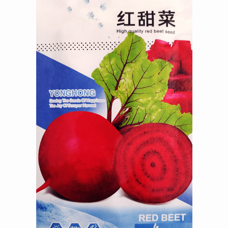 全红甜菜种子紫菜头榨汁圆形大个根茎杂交基地品种