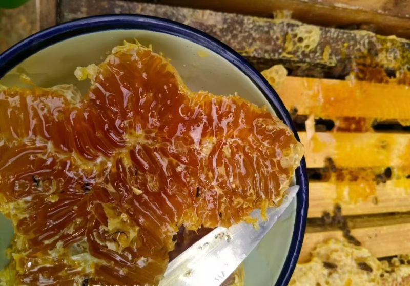 产自于大森林里的百花土蜂蜜，一年只取一次，优质蜂蜜
