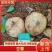 【精选豆薯】广东豆薯凉薯基地直供质量保证一手货源优