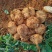 【精选豆薯】广东豆薯凉薯基地直供质量保证一手货源优