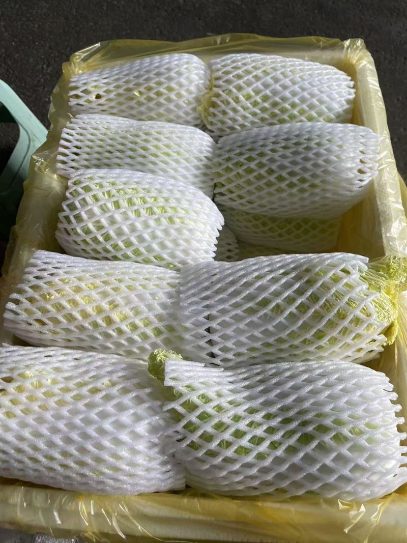 小娃娃菜整件发货品质保障欢迎各界人士前来洽谈量大优惠