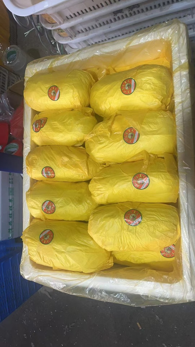 小娃娃菜整件发货品质保障欢迎各界人士前来洽谈量大优惠
