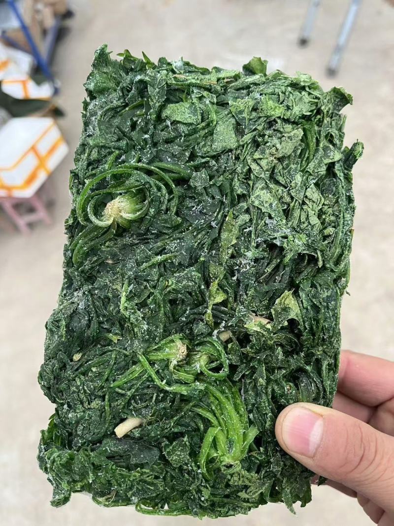 速冻野生荠菜大量有货品质保证一手货源工厂直发物美价廉