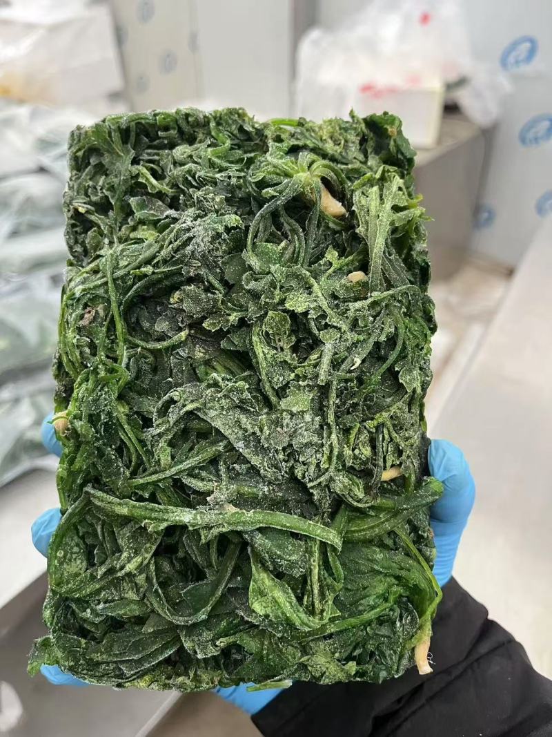速冻野生荠菜大量有货品质保证一手货源工厂直发物美价廉