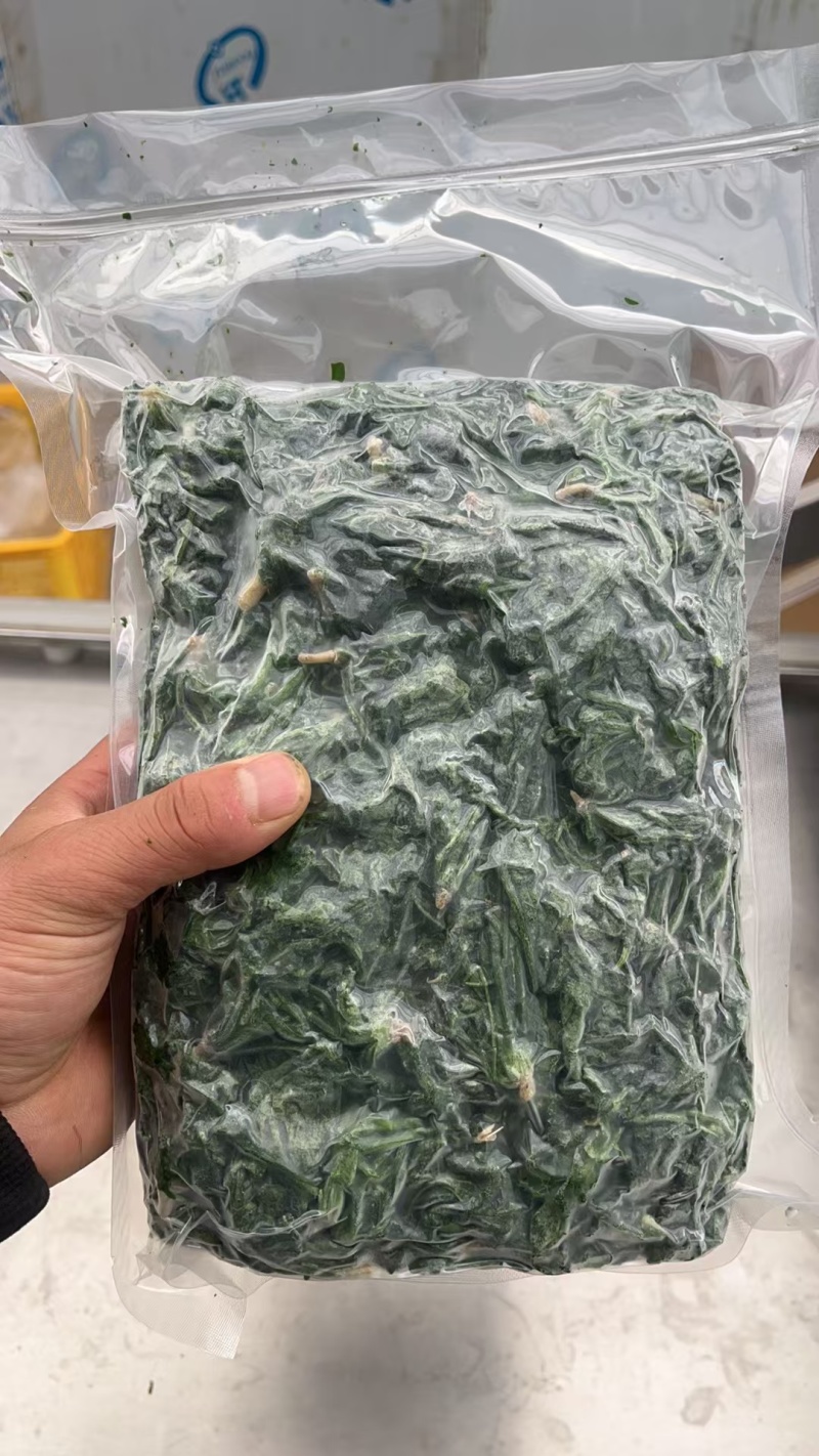 速冻野生荠菜大量有货品质保证一手货源工厂直发物美价廉
