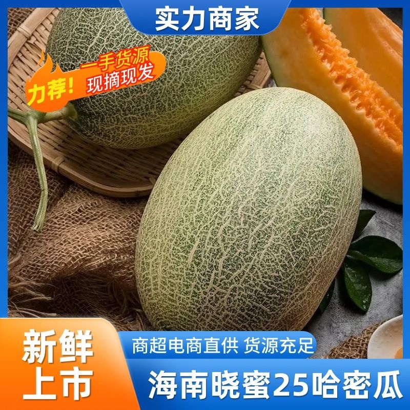【精选】海南晓蜜25哈密瓜对接商超电商社区团购等量大从优