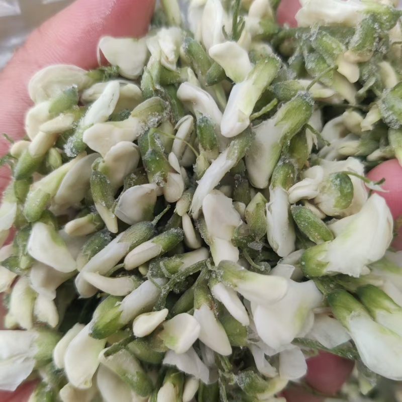 陕西速冻洋槐花精品槐花一手货源欢迎各地客商洽谈合作