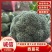 【推荐】万亩蔬菜基地西蓝花大量上市,需要的老板联系