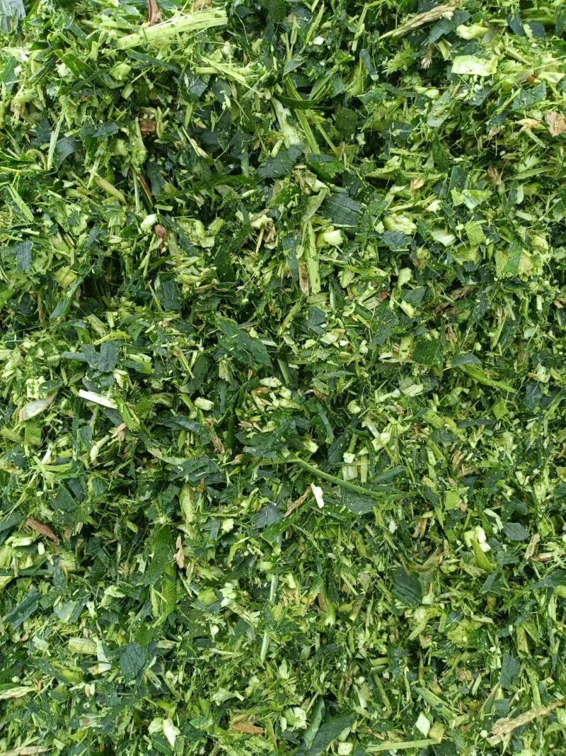 玉米杆