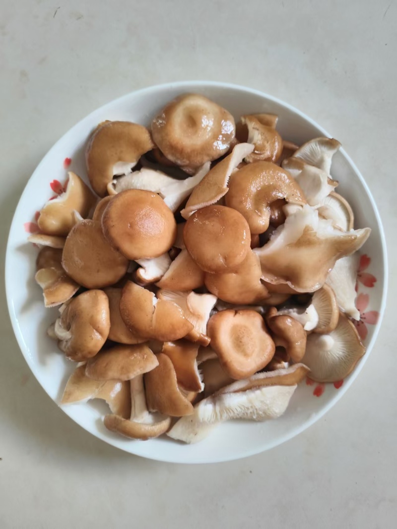 香菇小香菌精品货源量大从优一手货源欢迎咨询