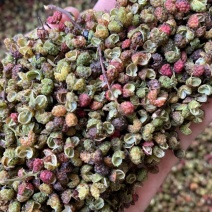 香味浓郁，麻度高的金阳花红椒上市了红花椒