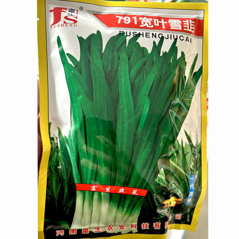 791雪韭王韭菜种子多次收割四季播苔韭宽叶大韭