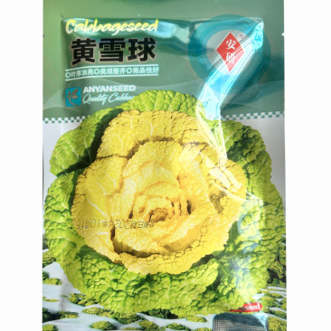 黄雪球黄心乌塌菜种子叶厚油亮耐寒抗病基地品种