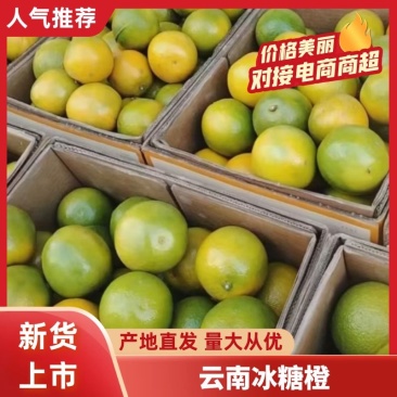 精品高原(冰糖橙/褚橙),产地直供,可批发可一件代发