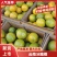 精品高原(冰糖橙/褚橙),产地直供,可批发可一件代发