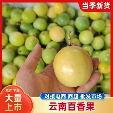 精品黄金百香果，钦蜜九号，对接全国商超，一件代发