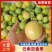 精品黄金百香果，钦蜜九号，对接全国商超，一件代发