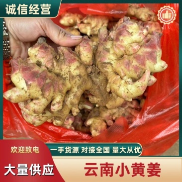 云南小黄姜，整姜，对接所有电商，货源充足，支持一件代发