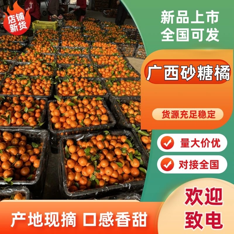 广西砂糖橘，果面干净，纯甜无渣，对接外贸出口，全国市场