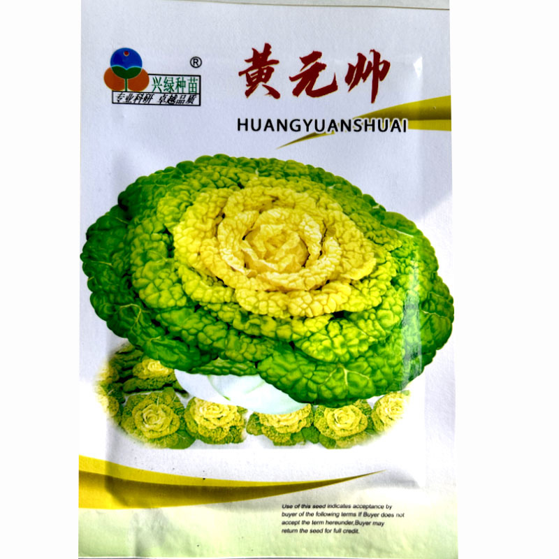 黄元帅乌塌菜种子黄心纤维少耐寒基地品种