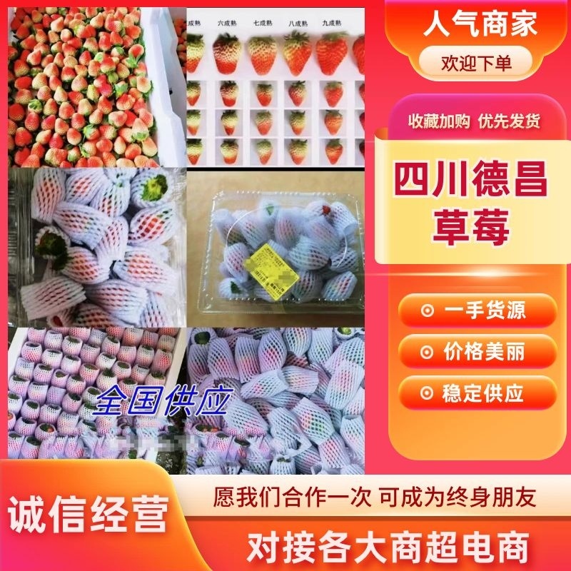 【精品】奶油草莓专业代发电商商超品控严格好评率高!