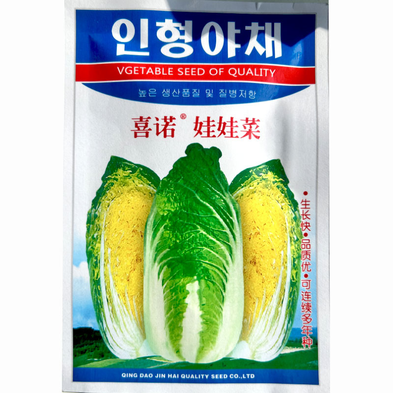 黄心娃娃菜种子早熟耐抽苔60天上市杂交秋季种植