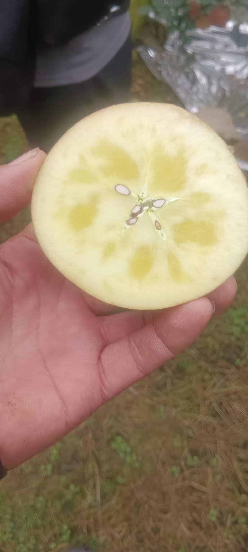 汉源糖心红富士好吃不贵量大价优产地直发一手货源