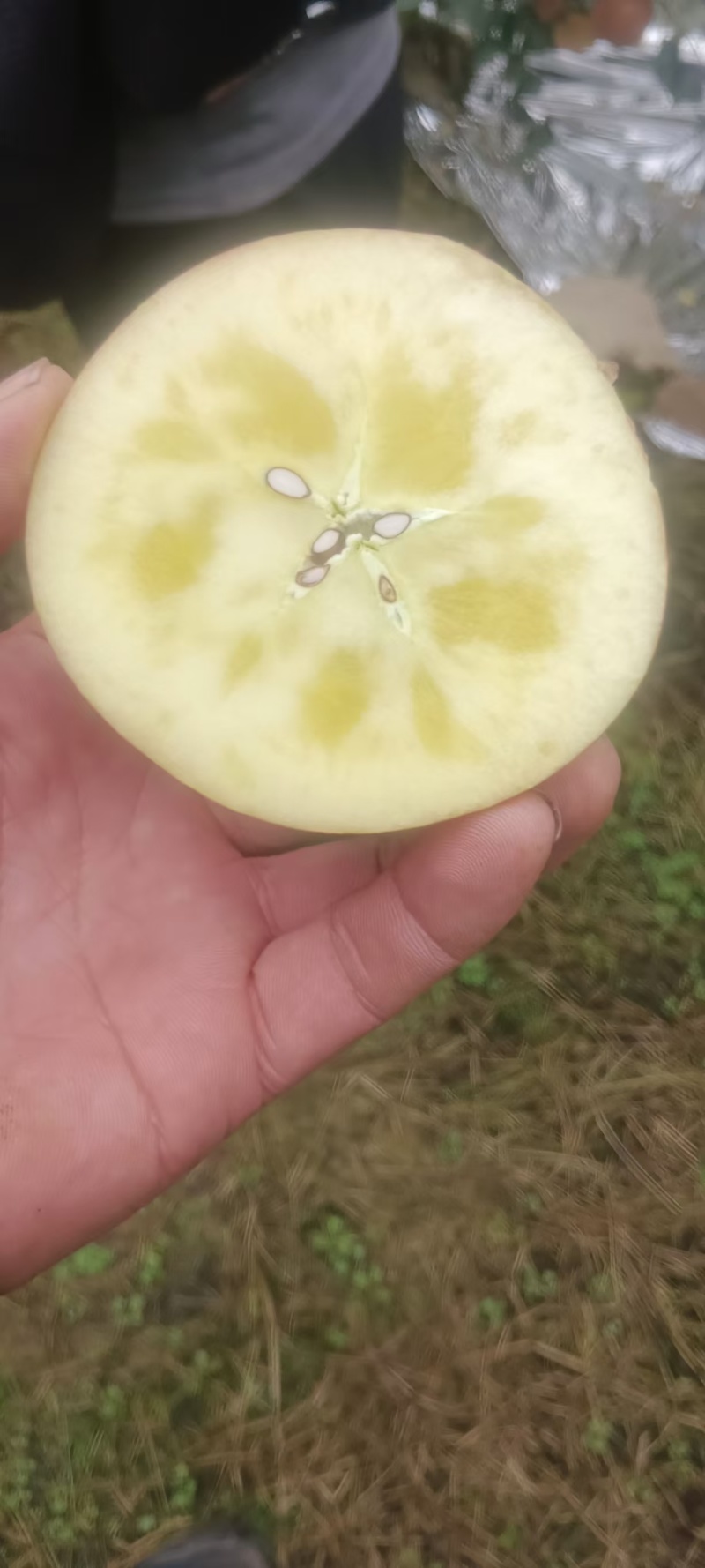 汉源糖心红富士好吃不贵量大价优产地直发一手货源